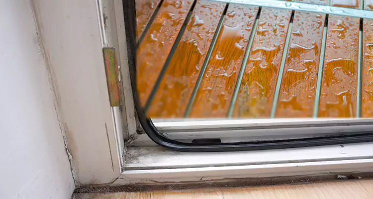 Water Leaking Wooden Patio Doors Repair in Clermont, FL