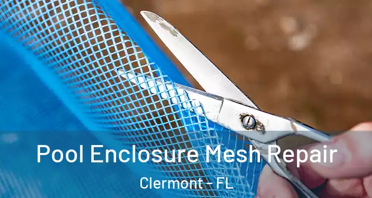  Pool Enclosure Mesh Repair Clermont - FL