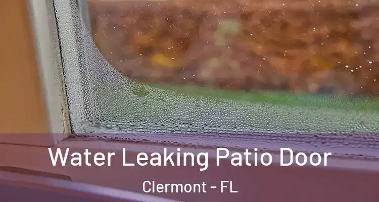  Water Leaking Patio Door Clermont - FL